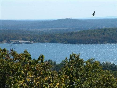 A scenic view of a 1/3 acre lakefront lot in Horseshoe Bend, Izard County, Arkansas, with trees and waterfront access.