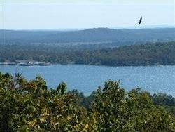 Arkansas, Izard County, 0.31 Acre Sec 10 , Horseshoe Bend. TERMS $50/Month