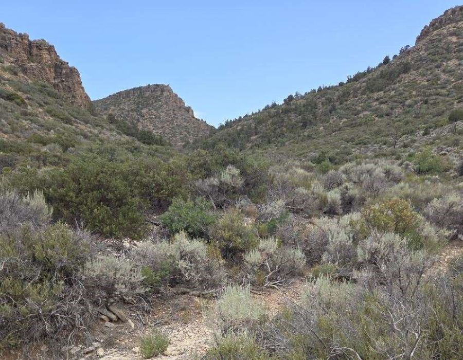 Aerial view of 7.95-acre Golden Valley Ranchos property in Mohave County, Arizona, showing open desert landscape and lot boundaries.