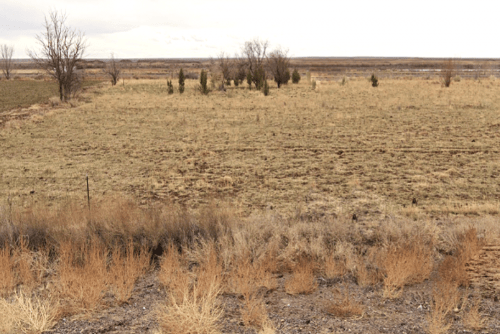 Aerial view of 1.25-acre Navajo County Arizona ranch lot 104 and 112, showing open land and surrounding natural landscape.