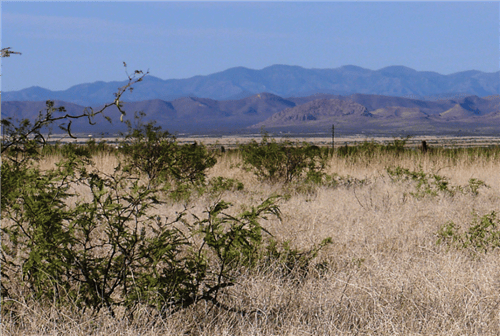 Arizona, Cochise County, 0.27 Acres Cochise College Park #2, Lot 982. TERMS $0 DOWN $43/Month