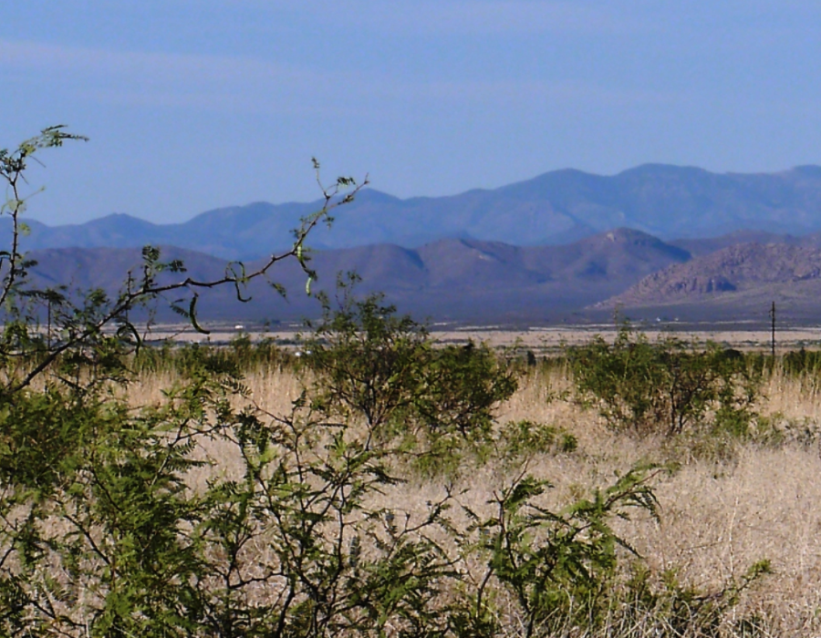 Arizona, Cochise County, 0.31 Acres Cochise College Park #9, Lot 2459. TERMS $76/Month
