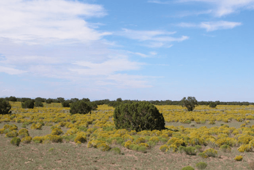 Aerial view of Arizona Park Estates lots 602 and 603 in Apache County, showing open land with sparse vegetation and surrounding terrain.