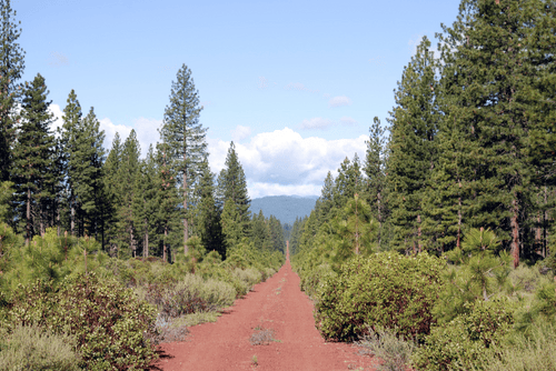 California, Shasta County, 10 Acres Montgomery Creek, PARCEL 2 OF LOT 10 IN SECTION 5, TOWNSHIP 35 NORTH, RANGE 2 WEST. TERMS $406/Month
