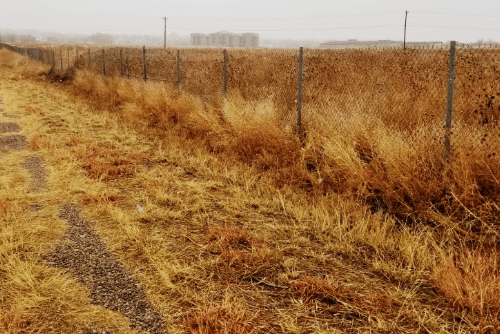 Colorado, Pueblo County, 0.10 Acres Colo City Lot 30 POR BLK 30 Eastwood Sub, Electricity. TERMS $128/Month