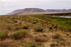 0.25-acre Colorado Rio Grande River lot in Costilla County, with natural landscape and nearby river views, offered by CO_Costilla_RioGrandeRiver327
