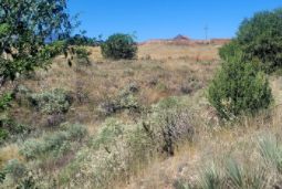 Colorado, Fremont County, 0.4 Acres Near Florence Lot 5-9, 12-13 Adj(United Oil Company's West End Sub). TERMS $82/Month