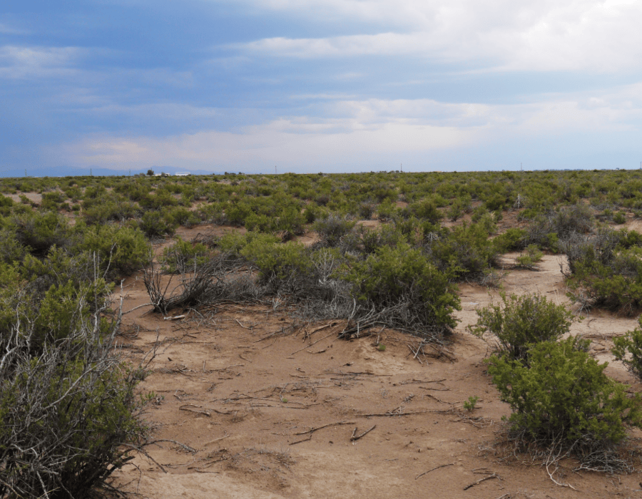 Colorado, Condado de Alamosa, 5 acres Sangre De Cristo Estates Replat Unidad 18 Lote 7 Manzana 14. CONDICIONES $0 de anticipo (ahora) $161/mes