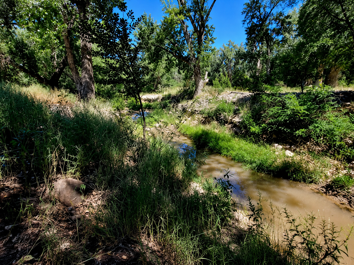 A detailed map of Fremont County, Colorado, showing 0.25-acre property in Chandler Creek SW4 NW4 SE4 SW4 SEC 8-19-69.