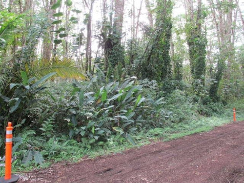 Hawaii, Hawaii County, 1/4 Acre Nanawale Estates,Ginger Road. TERMS $175/Month