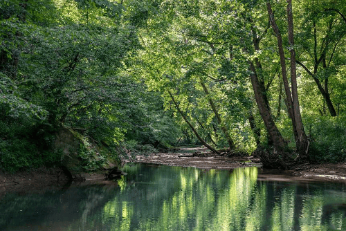 Aerial view of Kentucky Jackson County River's Edge lot 13, 5.06-acre property by the river, with surrounding natural landscape.