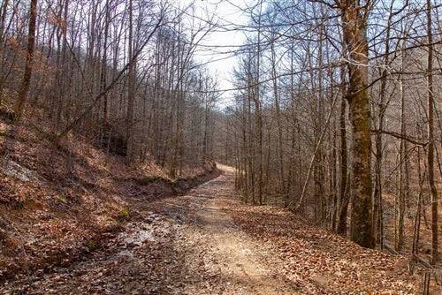 Aerial view of Kentucky Clay County Blackstone Mountain lot 62, showcasing wooded 22.61-acre parcel in Kentucky.