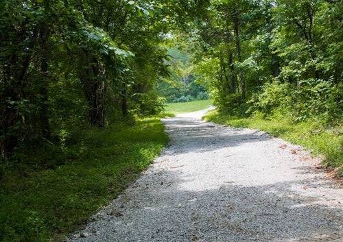 Bluewater Ridge lot 14 in Wayne County, Kentucky, 6.90-acre waterfront land with scenic water views and natural landscape.