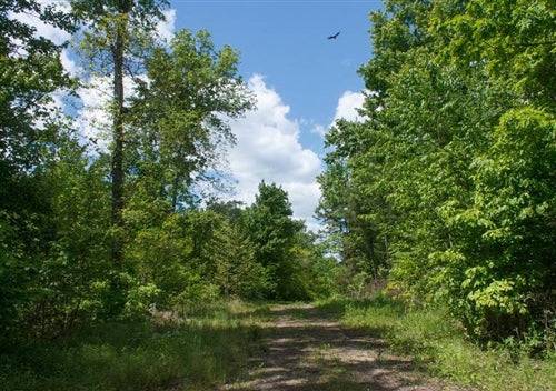 Aerial view of the Kentucky Wayne County Riverbend lot 22, a 6.22-acre waterfront property with river views in Kentucky.