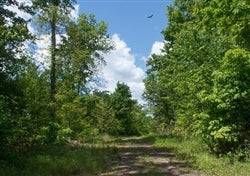 Aerial view of Kentucky Wayne County Riverbend Lot 31, a 4.39-acre property near the river, with lush greenery and open land.