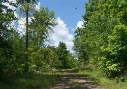 Kentucky, Wayne County, 8.28 Acre Riverbend, Lot 9, Water View. TERMS $511/Month
