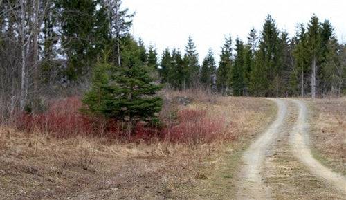 Aerial view of 5.01-acre Sunrise Estates property in Aroostook County, Maine, showcasing open land and natural landscape.