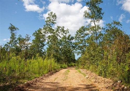 Missouri, Shannon County, 9.47 Acre Borgmann’s Hollow Phase II, Lot 53. TERMS $265/Month