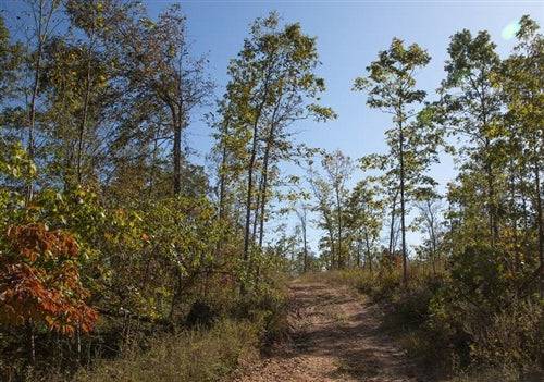 Aerial view of Missouri Shannon County Borgmann’s Hollow Phase IV Lot 108, 8.01-acre land parcel with trees and open space.
