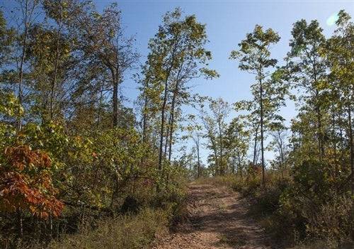 Aerial view of Missouri Borgmann’s Hollow Phase IV Lot 117, 13.45-acre property in Shannon County with wooded landscape.