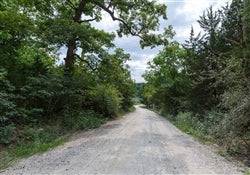 Aerial view of Missouri Miller County Spring Lake Lot 10, a 0.21-acre plot in Plat 2, with surrounding natural landscape.