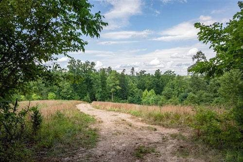 Aerial view of Missouri Reynolds County Cypress Ridge Lot 10, a 6.14-acre wooded land parcel in Reynolds County.