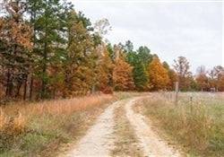 Missouri, Reynolds County, 6.58 Acres Hawkcrest, Lot 37. TERMS $399/Month
