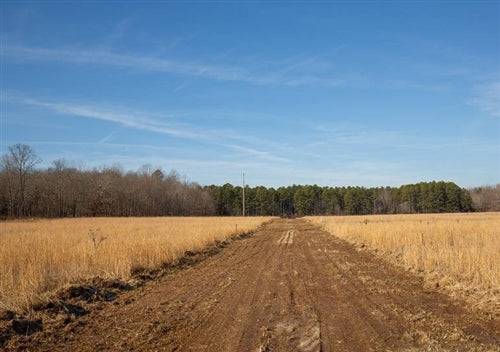 Ok_Pittsburg_PaintedHorse 31 lot in Missouri's Shannon County with pond and creek on 5.25 acres, scenic rural land for sale.