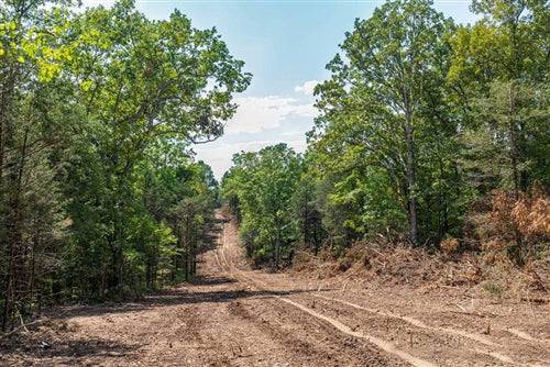 Taney County Missouri 10.6-acre Heritage Bend lot 11 with natural landscape and open land views, by MO_Taney_HeritageBend_11.