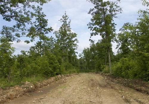 Missouri, Shannon County, 20.44 Acre Thunder Mountain Ranch, Lot 24. TERMS $360/Month