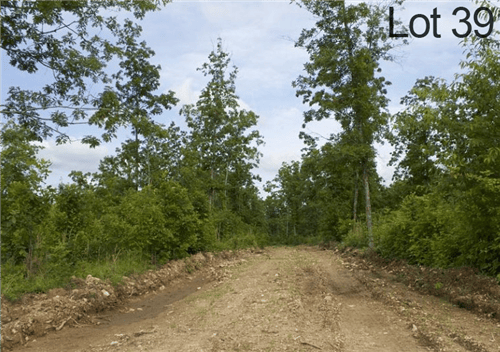 Aerial view of Missouri Thunder Mountain Ranch lot 39 in Shannon County, showing wooded terrain and property boundaries.