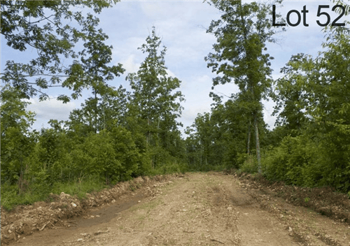 Missouri, Shannon County, 8.13 Acre Thunder Mountain Ranch, Lot 52. TERMS $219/Month