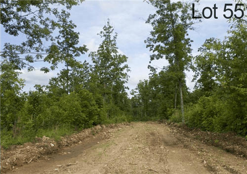 Missouri, Shannon County, 8.72 Acre Thunder Mountain Ranch, Lot 55. TERMS $215/Month