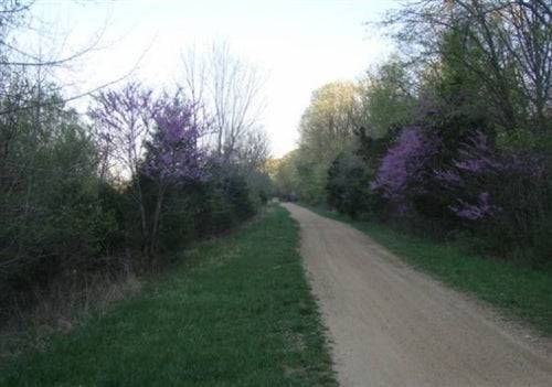 Aerial view of Missouri Washington County Rogue Creek Lot 25, 0.21-acre land parcel with trees and natural landscape.