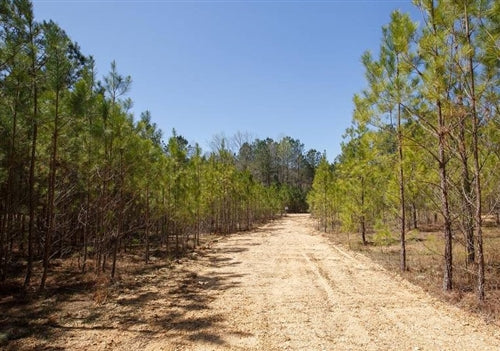 Mississippi, Tishomingo County, 5.04 Acres Southern Hills, Lot 6. TERMS $289/Month