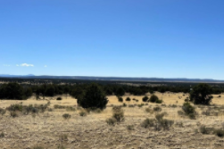 New Mexico, Catron County, 40 Acres Catrone Township 4N, Range 9W, Section 33 NE4SE4. TERMS $484/Month