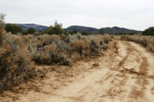 New Mexico, Rio Arriba County, 0.90 Acre Chama River Estates, Lot 19. TERMS $71/Month