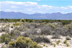 Aerial view of 10-acre Deming Ranchettes in Luna County, New Mexico, showing land plots and surrounding terrain.