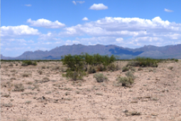 New Mexico, Luna County, Frontier Ranchos, 1 Acre Lot 12 Unit 1 Block 1. TERMS 50% Off (now) $37/Month