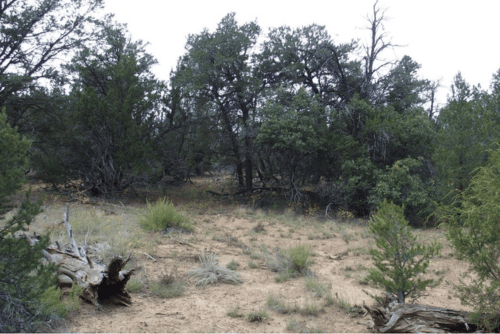 Aerial view of New Mexico Cibola County Garfield Lot 1 Block 7, 5-acre land parcel with natural terrain and open skies.