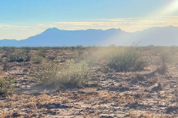 New Mexico, Luna County, 5 Acre Akela Flats Lot 32 Unit 1 Block 1. TERMS $135/Month