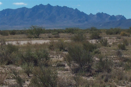 New Mexico, Luna County, 10 Acre Sundance Ranches Lot 30 Block 4. TERMS $0 Down $100/Month