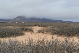 New Mexico, Luna County, 10 Acres Pancho Villa Ranches, Lot 162. TERMS $155/Month