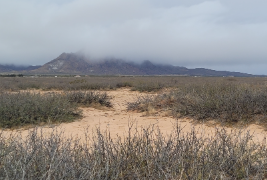 New Mexico, Luna County, 10 Acres Pancho Villa Ranches, Lot 202. TERMS $152/Month