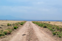 Rio Grande Estates Land, Valencia County, NM