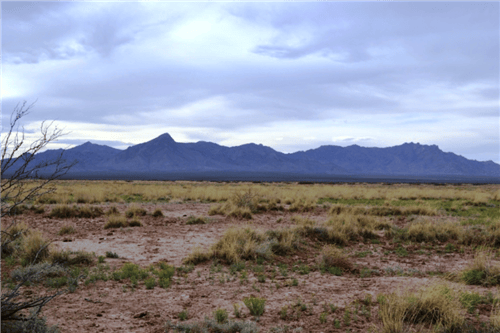 Aerial view of a 0.5-acre lot in Sunshine Valley Ranchettes, Luna County, New Mexico, with surrounding desert landscape.