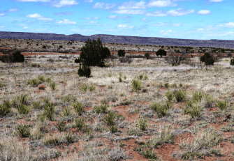 Aerial view of 5.20-acre Rancho Lake Conchas lot in San Miguel County, New Mexico, showing open land and surrounding natural scenery.