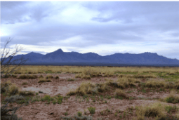 New Mexico, Luna County, Sunshine Valley Ranchettes, 1 Acre Lot 6 and 39 Unit 21 Block 19 (Adjoining). TERMS $54/Month