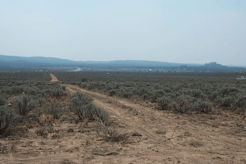 New Mexico, Taos County, 0.50 Acres Tres Piedras, Lot I Block 82 Unit 2, Mountain Lot. TERMS $82/Month