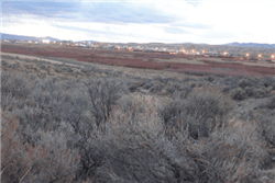 Aerial view of Nevada Elko County Last Chance Ranch 40-acre property with electricity in Unit 1, Rancho 12, showing land and surroundings.